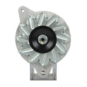 Lichtmaschine 195.004.050.415