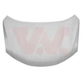 Motorhaube 3372660