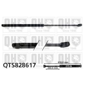 Heckklappendämpfer QTS828617 von QUINTON HAZELL günstig für 27,92 € online kaufen