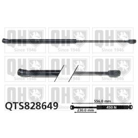 Achetez des Vérin de coffre QUINTON HAZELL QTS828649 à prix pour 29,86 €