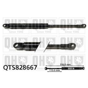 Gasfeder, Verdeck QTS828667 VOLKSWAGEN von QUINTON HAZELL