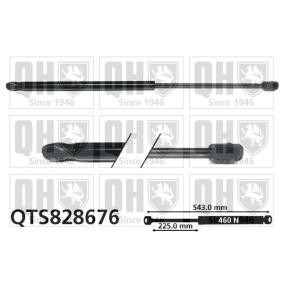 Achetez des Vérin de coffre QUINTON HAZELL QTS828676 à prix pour 29,86 €