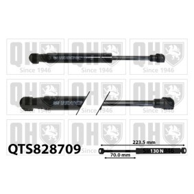 Achetez des Vérin, étagère (coffre) QUINTON HAZELL QTS828709 à prix pour 30,91 €
