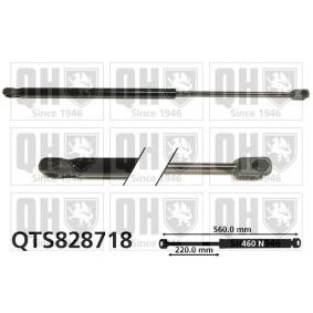 Heckklappendämpfer QTS828718