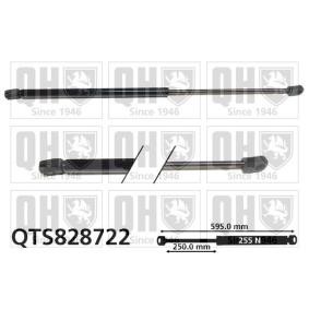 Achetez des Vérin de coffre QUINTON HAZELL QTS828722 à prix pour 52,96 €