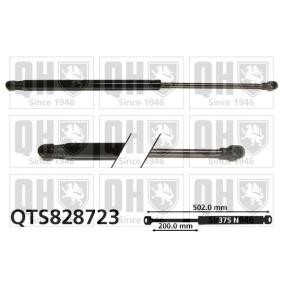 Achetez des Vérin de coffre QUINTON HAZELL QTS828723 à prix pour 20,78 €