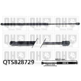 Achetez des Vérin de coffre QUINTON HAZELL QTS828729 à prix pour 70,04 €