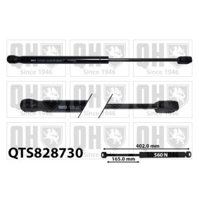 Achetez des Vérin de coffre QUINTON HAZELL QTS828730 à prix pour 42,43 €