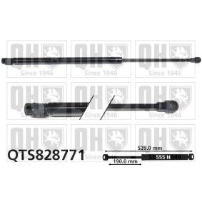 Achetez des Vérin de coffre QUINTON HAZELL QTS828771 à prix pour 27,40 €