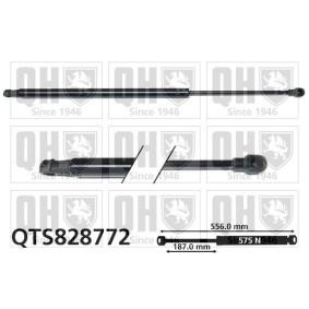 Heckklappendämpfer QTS828772