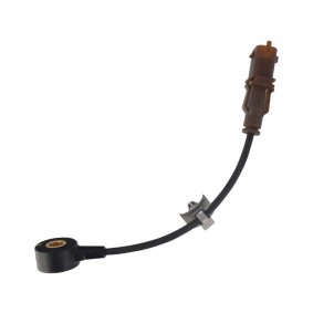 Acquista Sensore di detonazione da FEBI BILSTEIN 106793 a buon mercato per soli 26,18 €