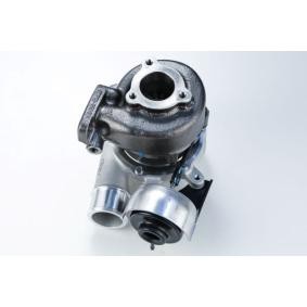 Kjøp Turbolader av BTS TURBO T915024BL til den lave prisen 8918,22 NOK