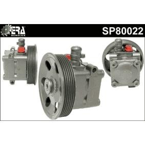 Servopumpe SP80022