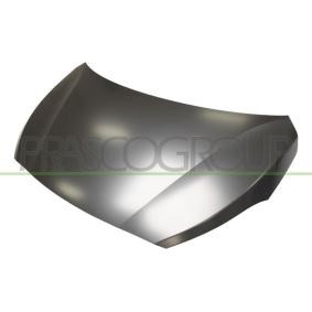 Motorhaube HN2023100