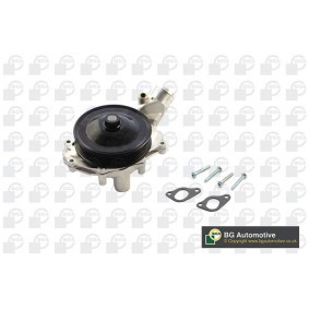 Osta Vesipumppu BGA:llä CP4209H edullisesti hintaan 87,63 €