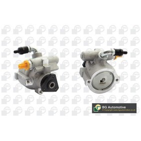 Acquista Pompa idraulica, sterzo da BGA PSP1500 a buon mercato per soli 108,03 €