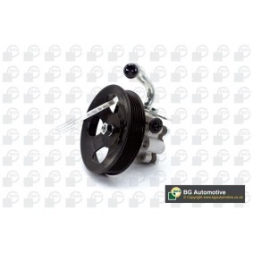Servopumpe PSP2704