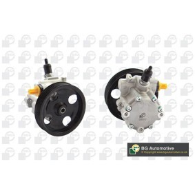 Osta Ohjaustehostimen pumppu BGA:llä PSP4300 edullisesti hintaan 184,56 €