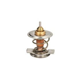 Comprar Termostato, refrigerante de THERMOTEC D2C008TT a bajo precio de 52,48 €