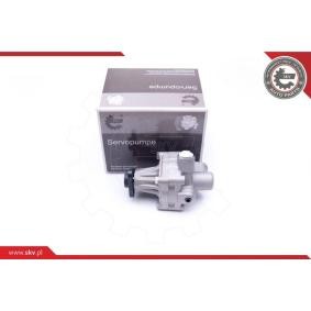 Servopumpe 10SKV245