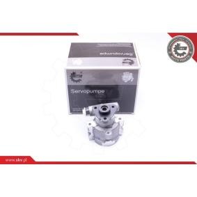 Servopumpe 10SKV252