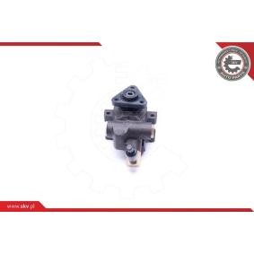 Servopumpe 10SKV253