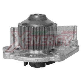 Achetez des Pompe à eau AP XENERGY X200021 à prix pour 66,85 €