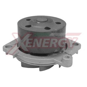 Achetez des Pompe à eau AP XENERGY X200040 à prix pour 68,59 €
