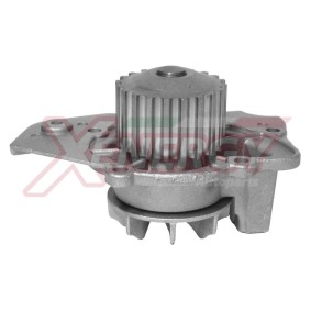 Achetez des Pompe à eau AP XENERGY X200580 à prix pour 66,85 €