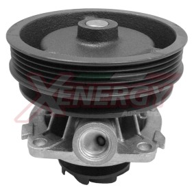 Achetez des Pompe à eau AP XENERGY X200870 à prix pour 74,95 €