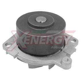 Achetez des Pompe à eau AP XENERGY X200980 à prix pour 63,87 €