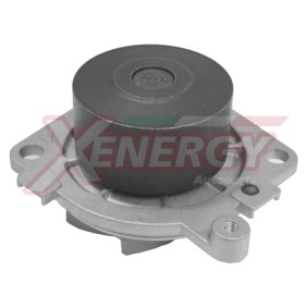 Achetez des Pompe à eau AP XENERGY X200990 à prix pour 30,50 €