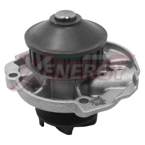 Achetez des Pompe à eau AP XENERGY X202490 à prix pour 50,45 €