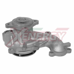 Achetez des Pompe à eau AP XENERGY X204192 à prix pour 36,45 €