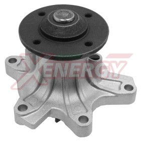 Achetez des Pompe à eau AP XENERGY X204412 à prix pour 72,61 €