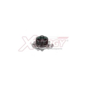 Achetez des Pompe à eau AP XENERGY X206802 à prix pour 81,08 €