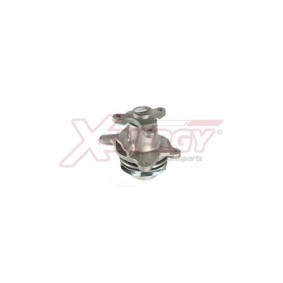 Achetez des Pompe à eau AP XENERGY X207582 à prix pour 55,67 €