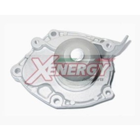 Achetez des Pompe à eau AP XENERGY X207592 à prix pour 72,54 €
