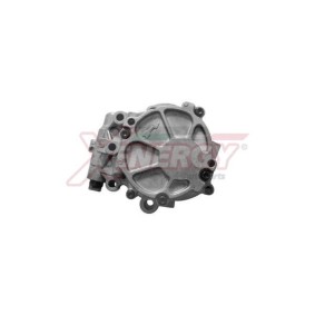 Achetez des Pompe à huile AP XENERGY X251428 à prix pour 259,60 €