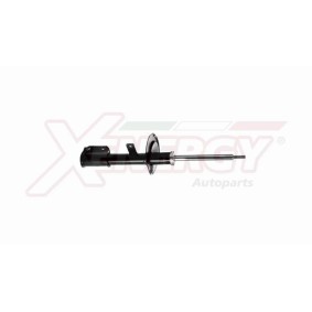 Stoßdämpfer X763333 für FIAT