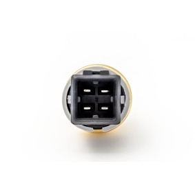 Compre Polia, cambota da PREXAparts P725006 a um preço baixo por 60,29 €