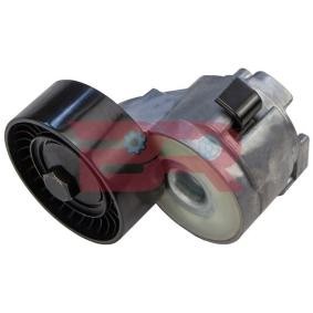 Acquista Tenditore cinghia servizi da BOTTO RICAMBI BRM6751 a buon mercato per soli 88,55 €