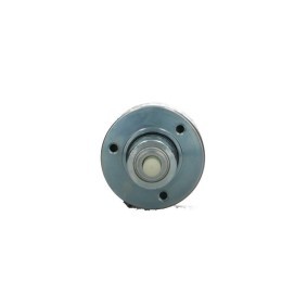 Lichtmaschine von BV PSH