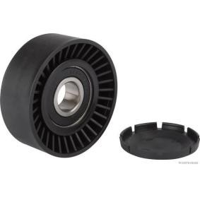 Comprar Polea inversión / guía, correa poli V de HERTH+BUSS JAKOPARTS J1140404 a bajo precio de 44,08 €