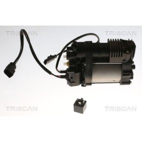Compre Compressor de suspensão a ar da TRISCAN 8725 29103 a um preço baixo por 648,98 €