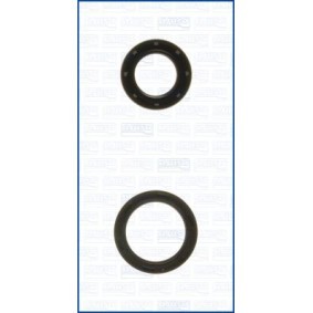 Köp Packboxsats, motor av AJUSA 78013600 till det låga priset 492,31 kr