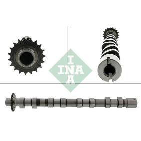 Acquista Albero a camme da INA 428 0189 10 a buon mercato per soli 329,63 €