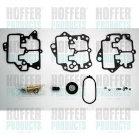 Reparatursatz, Vergaser N751