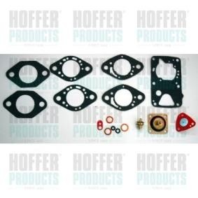 Reparatursatz, Vergaser S45F