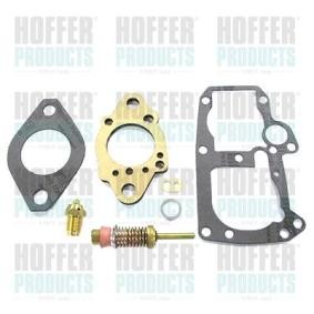 Reparatursatz, Vergaser S53F